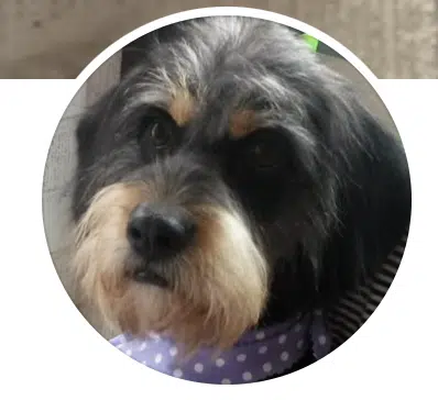 Piper Parker - Customer