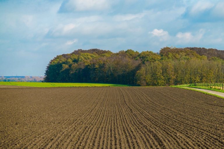 New Agriculture Concept Landscape