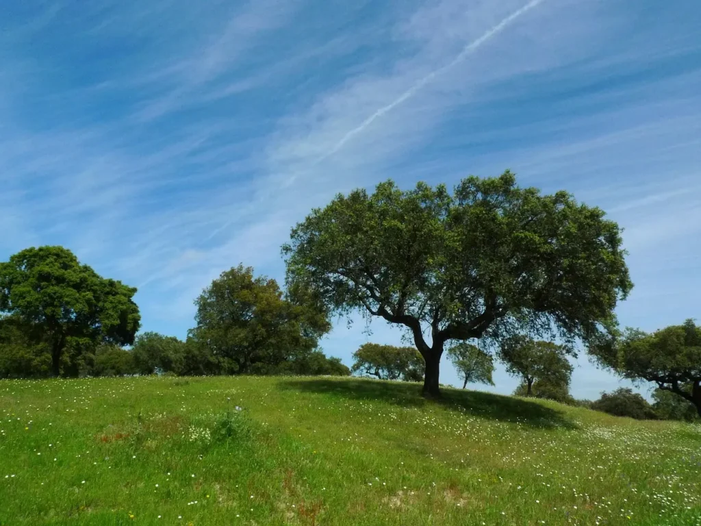 Ready to turn that affordable plot into a powerful long-term asset
