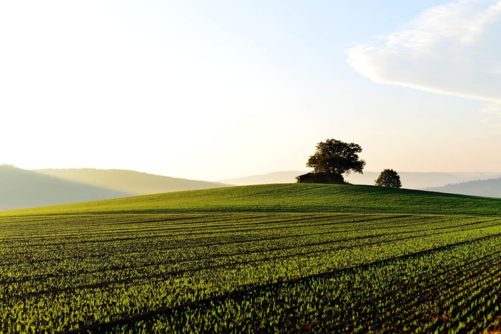 How to Buy Land Bank Property: A Step-by-Step Guide