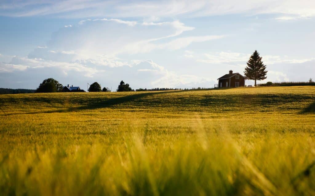 What Are Raw Land and Unimproved Land?