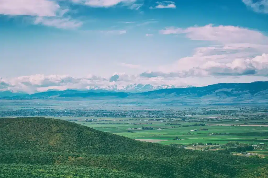 Pros and Cons of Buying Cheap Land